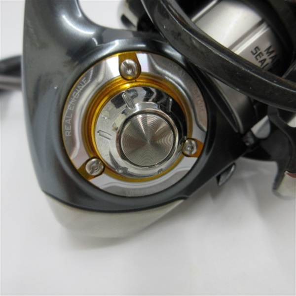 １３セルテート２５０６Ｈ